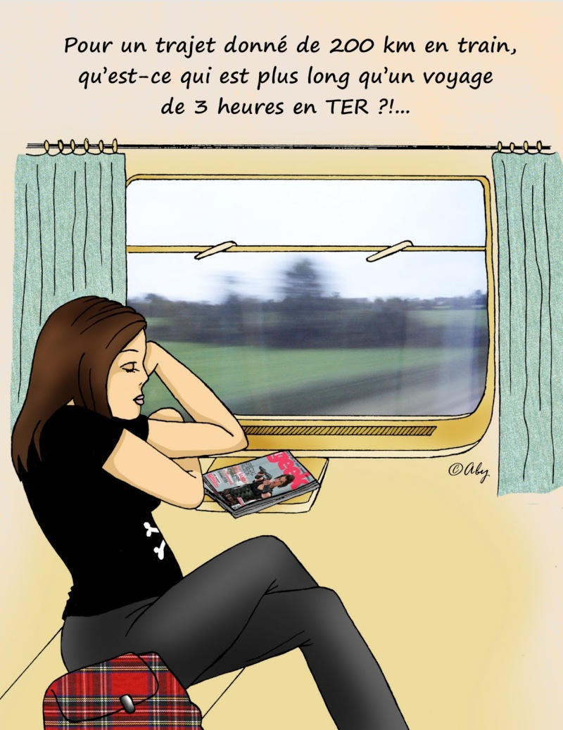 SNCF : voyager autrement... Train-11