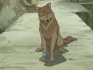 Wolf's Rain serie anime CHOC ! Fj10