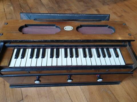Petit harmonium Hero Flute de Kasriel