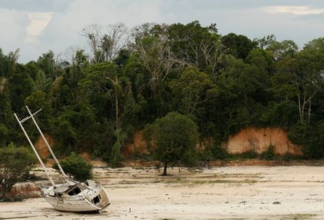 El río Amazonas ya se seca por tramos . 510