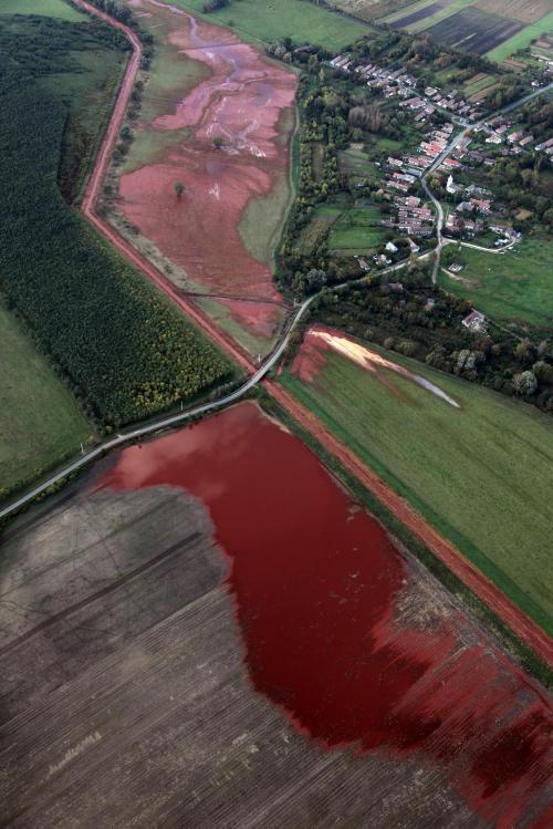 Vertido tóxico en el Danubio: Miles de peces muertos en los afluentes contaminados . Contam10