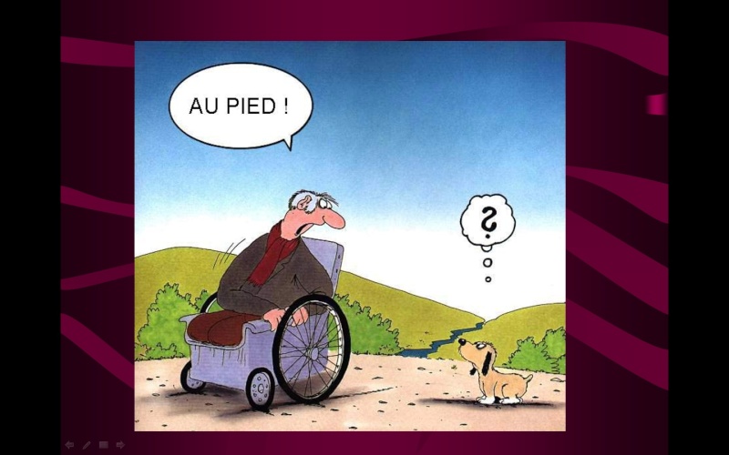 un peu d'humour pour accompagner la semaine...1 - Page 22 Au_pie10