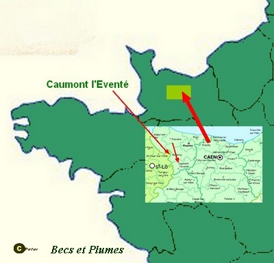 La poule Caumont Caumon13