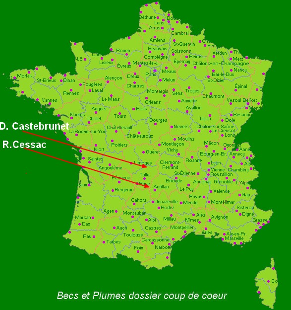 la Faverolle naine coucou Map10