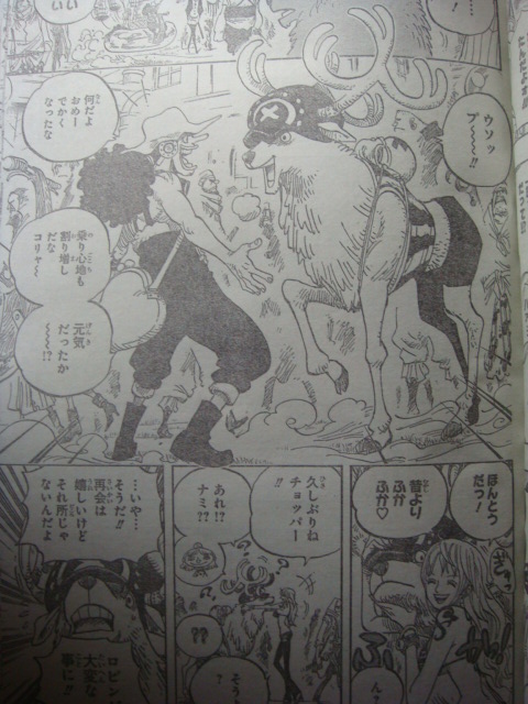 One Piece Manga 600 Spoiler Pics 111