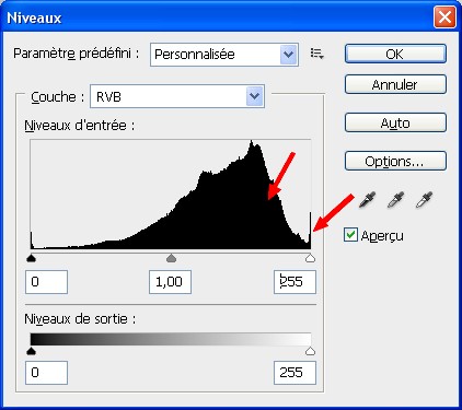 Petite araigne auvergnate !  Cap0410