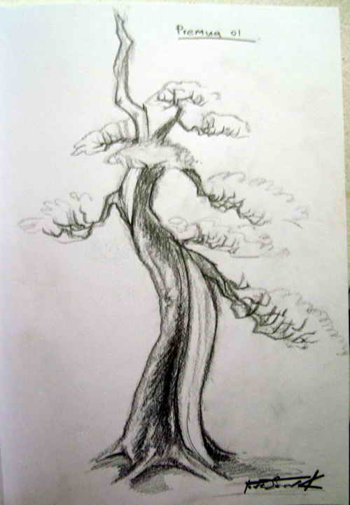my bonsai drawing. S6001810