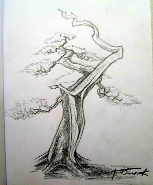my bonsai drawing. S6001910