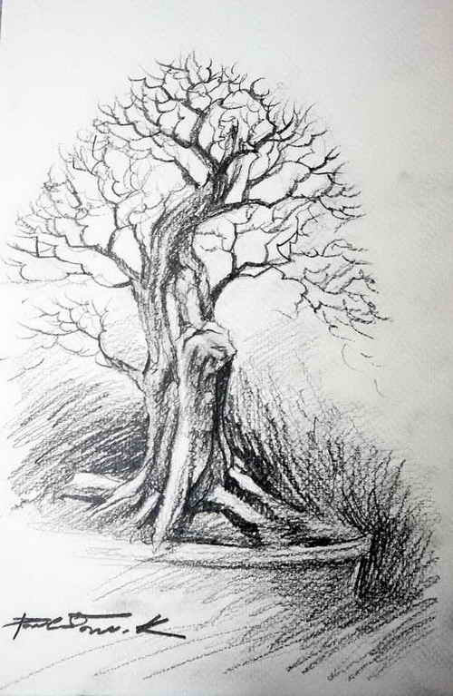 my bonsai drawing. Sam_0810