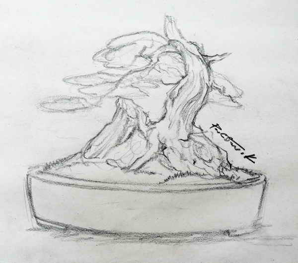my bonsai drawing. Sam_0910