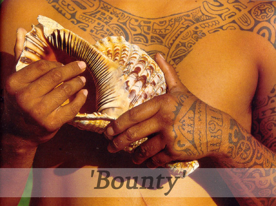 QUIZ - 'A Hands-Journey Around the World'! Bounty10