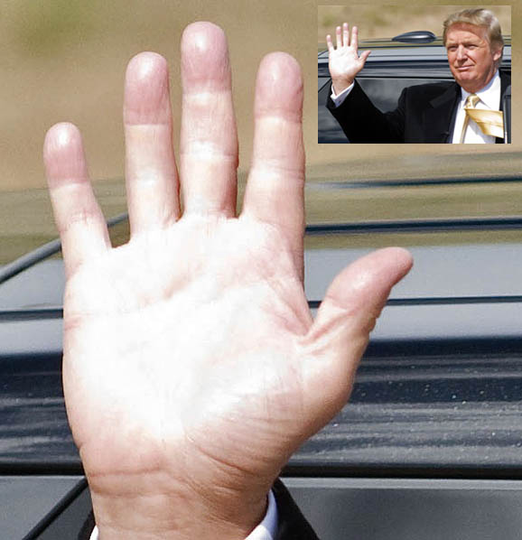 Donald Trump: into the hands of the new US president! Donald11