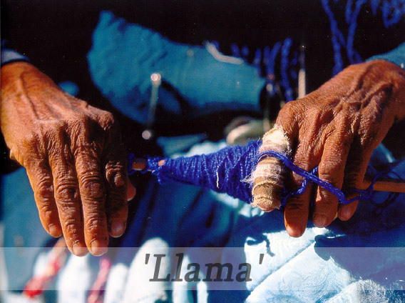 QUIZ - 'A Hands-Journey Around the World'! Llama10