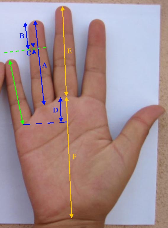 How long is your pinky finger... really? Pinky-10