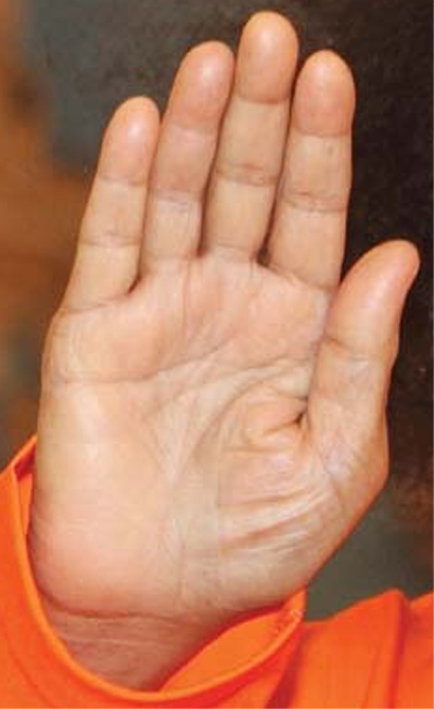 Sri Sathya Sai Baba (1926-2011) - Hands of a Guru Sathya10