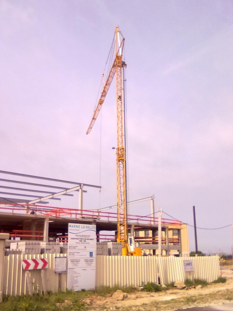 Les grues de FREITAS (France) 11052011