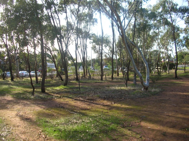 Adelaide ,Shepherds hill recreation park, Possible war location  Carpar10