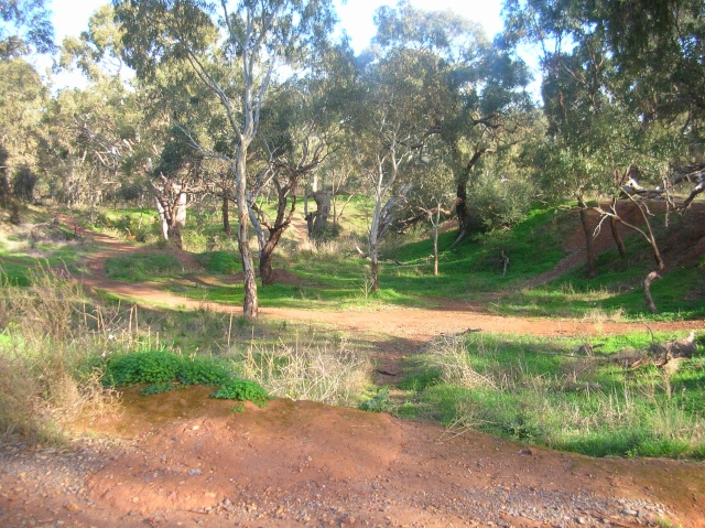 Adelaide ,Shepherds hill recreation park, Possible war location  Dscn2917