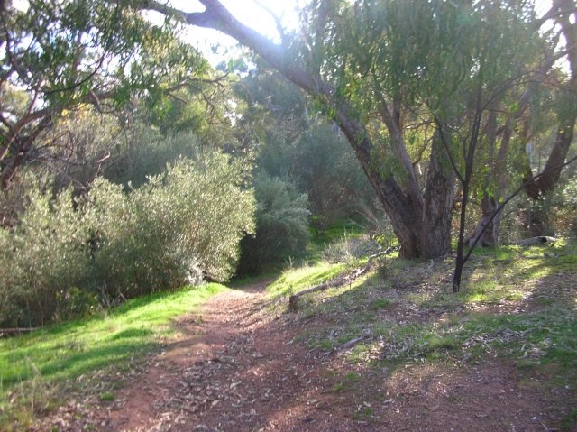 Adelaide ,Shepherds hill recreation park, Possible war location  Dscn2919