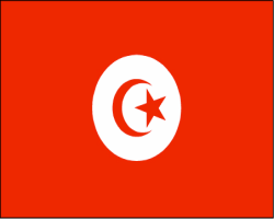  رسميا تونس تغلق المواقع الإباحية ووزير يستقيل معترضا  Flag0110