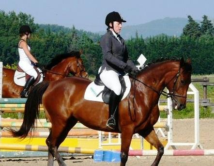 Vos plus belles photos en Dressage - Page 2 111