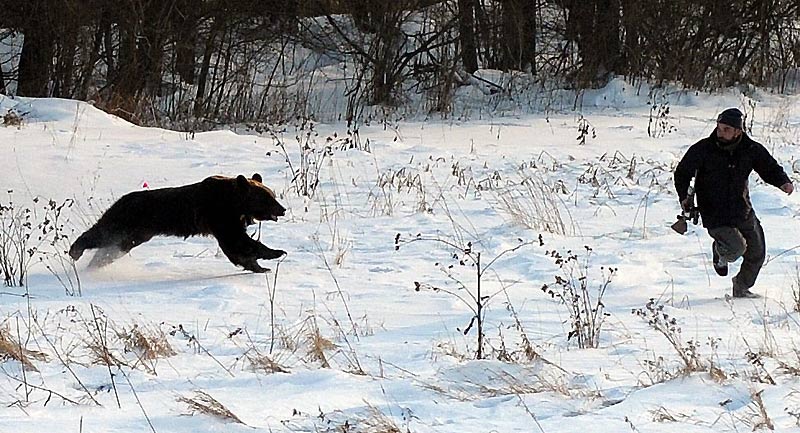 Qui chasse l`ours ce printemps..... - Page 2 Griszl11