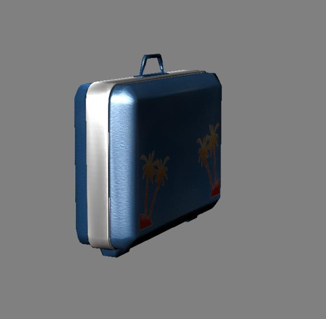 Baggage model. 311