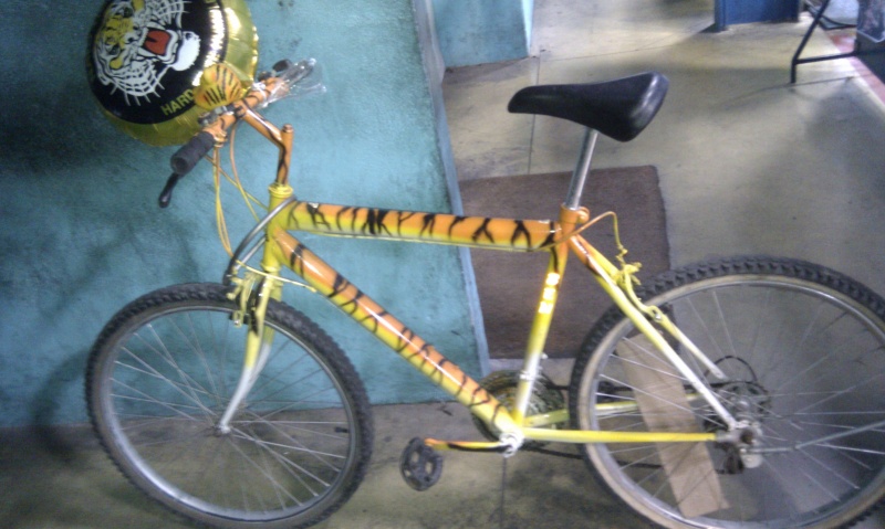 Vélo des Tchèques au tiger meet Imag0114