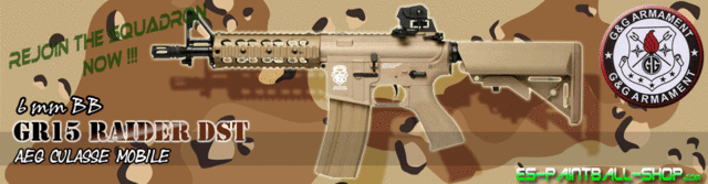 Fusil d'assault [AEG] GR15 RAIDER DST  113