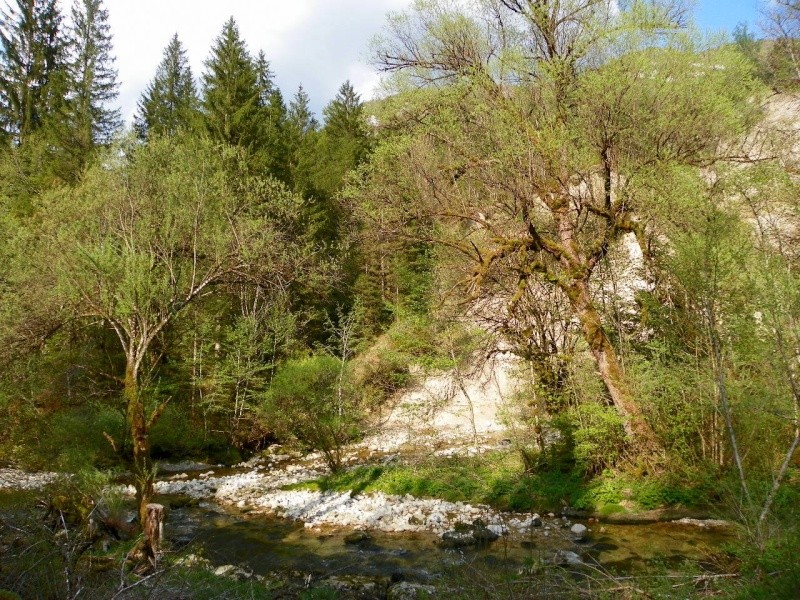 Cascade des combes (Jura) 101_0021