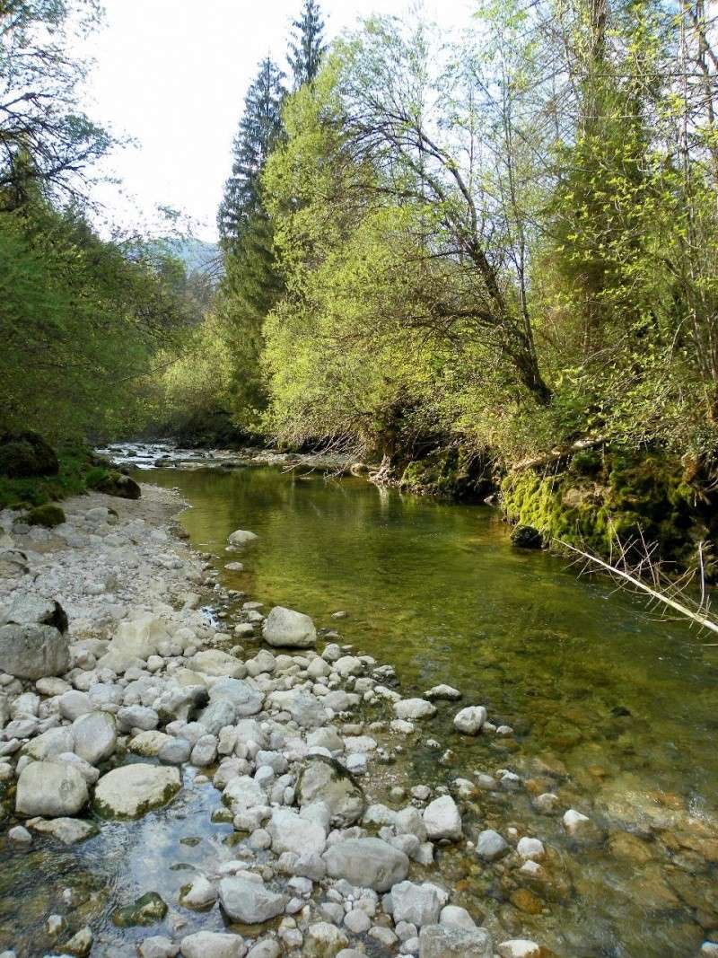 Cascade des combes (Jura) 101_0022