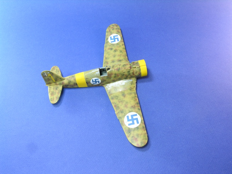FIAT G.50 "FRECCIA"   FA-1 (M.M.4738)  [Pacific Coast Model/ Secter] 1/48 Dscn6326