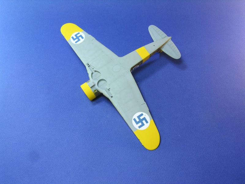 FIAT G.50 "FRECCIA"   FA-1 (M.M.4738)  [Pacific Coast Model/ Secter] 1/48 Dscn6327