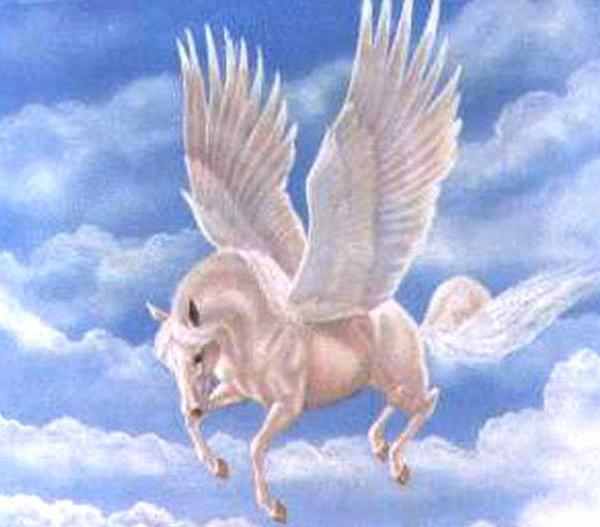 Pegasus (The Pegasus) 11983310