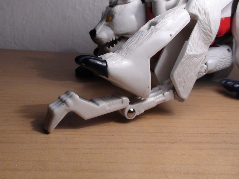 [EN CONTRUCTION] Beast wars Galeries d'images Dsc02758