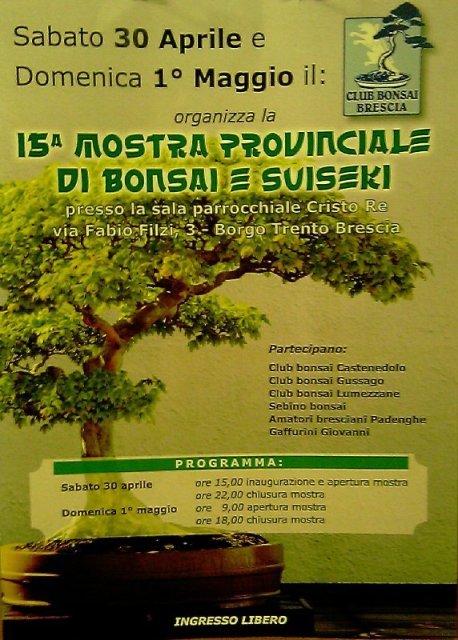 15a Mostra Provinciale Brescia  Provin10