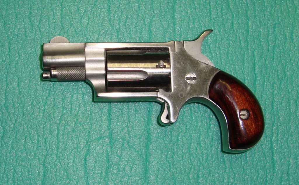 mini revolver 22 magnum Naa_2211