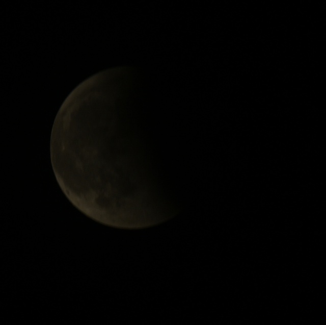 Eclipse totale de lune mercredi soir P1000510