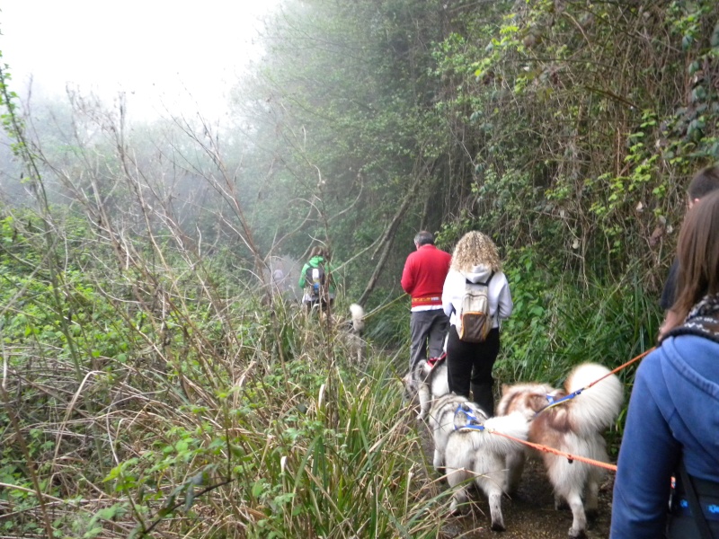 Urge dog trekking centro italia - Pagina 3 Dscn2220