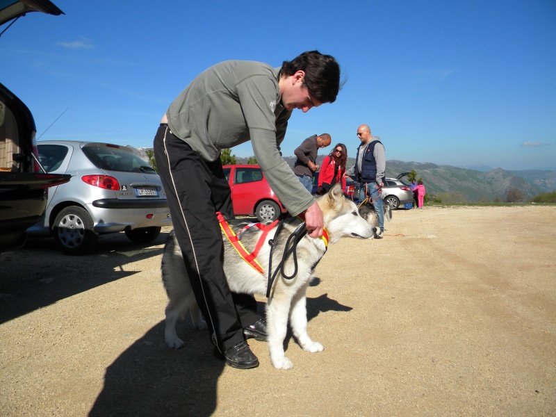 [b]DOG TREKKING BY CANIAVVENTURA[/b] - Pagina 3 Dscn2517