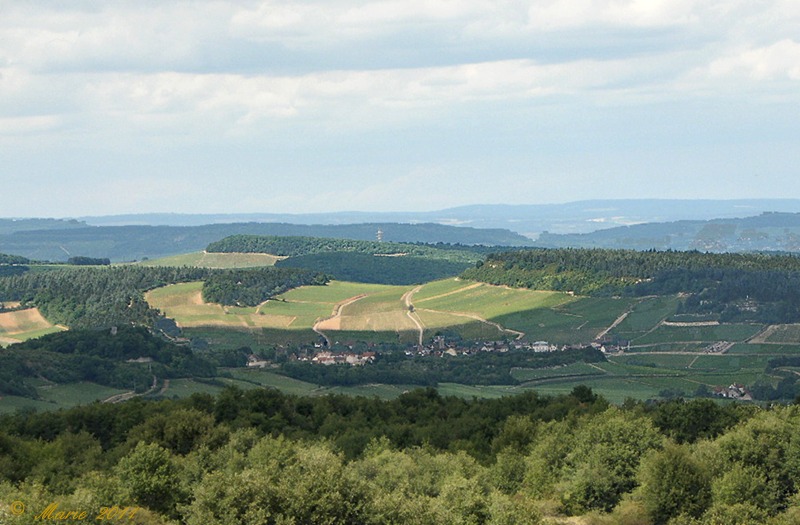 Petit village dans l'ombre "Mercurey " Sam_0132