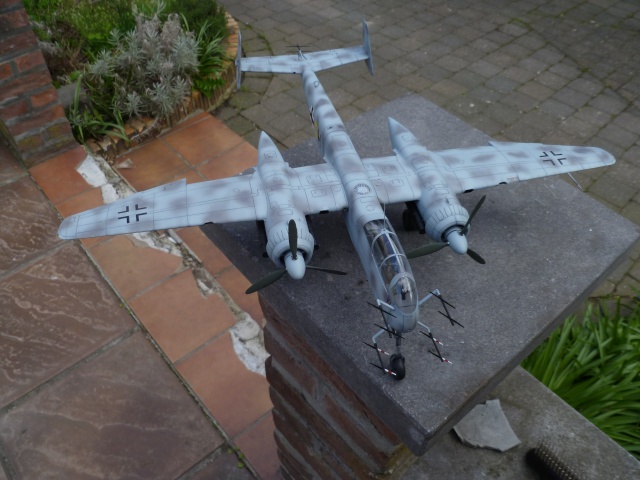 Un insecte qui vole - Heinckel He 219 UHU (Tamiya 1/48°) [ Terminé ] P1000434