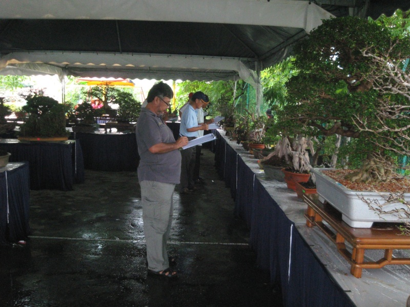 3rd Malaysia Bonsai Carnival-Baeckea Frutescens almost steal the show Img_4031