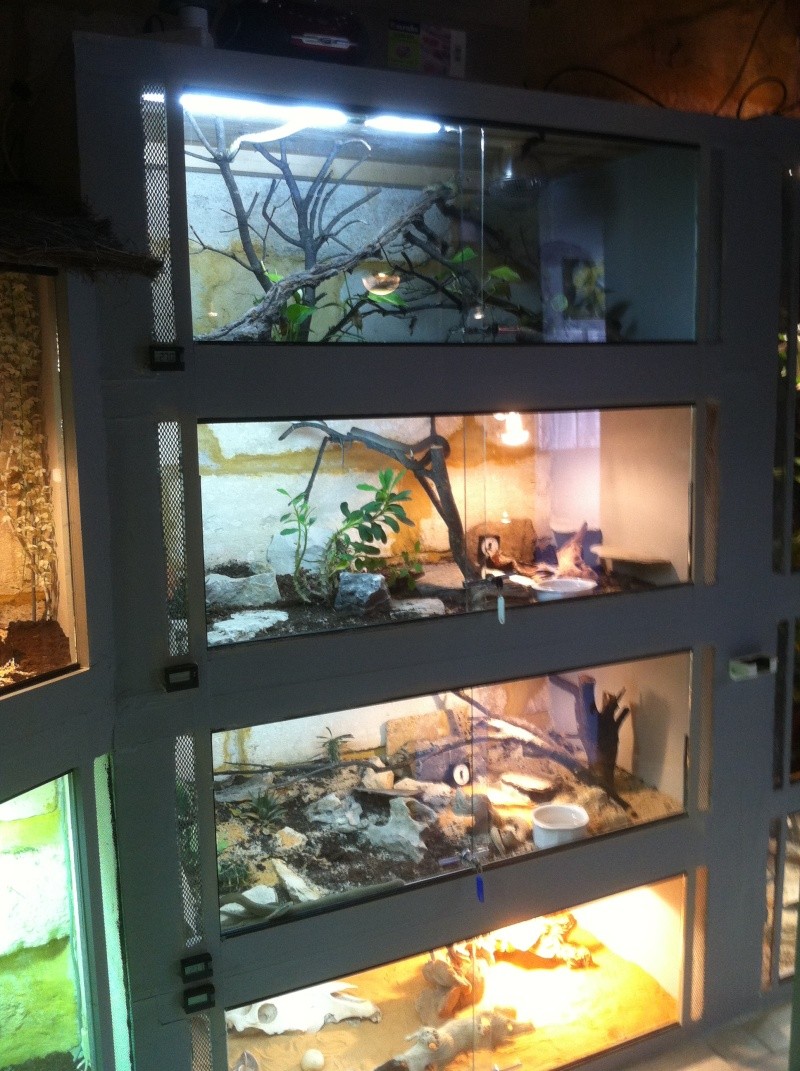 my snake room Img_0324