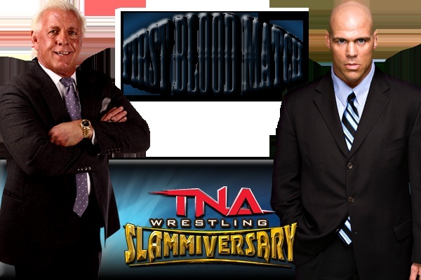 TNA Slammiversary - 12 Juin 2011 (Résultats) Flirvs10