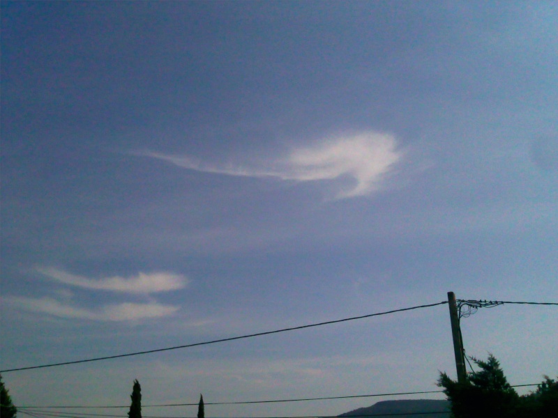 N'étant pas expert en sylphes, que pensez-vous de ces nuages Photo011