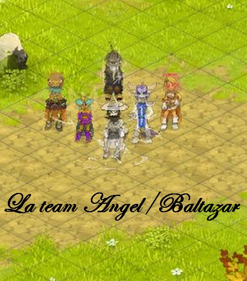 [Angel-lefort] Voici ma team Dofus_10