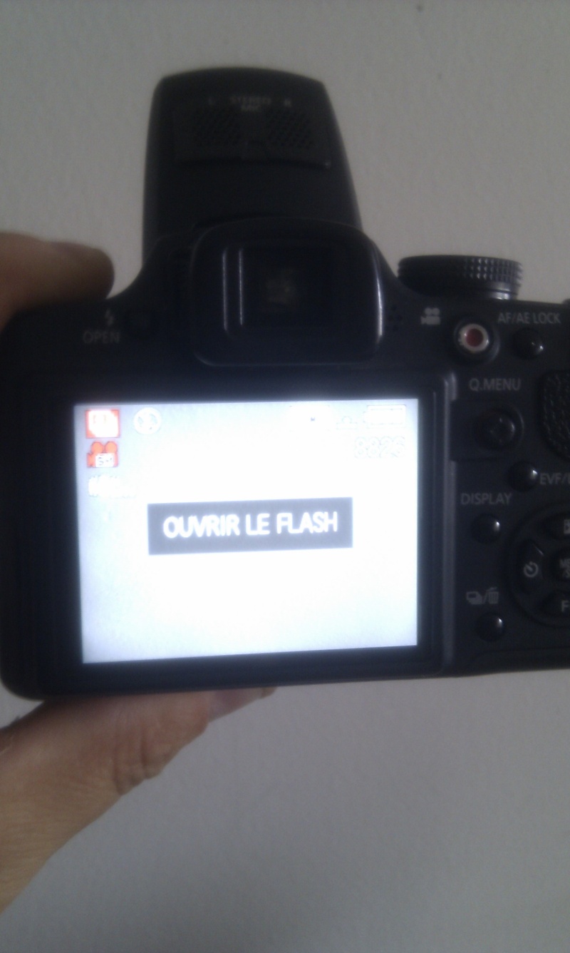 problem avec le bouton flash Imag0115