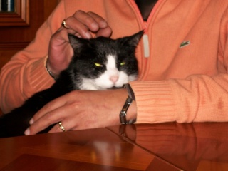 Luckie Medhy010