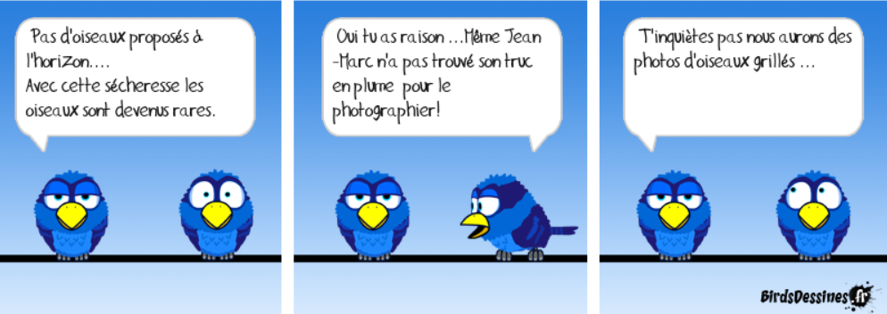 Concours photo "Les oiseaux" aout 2022  - Page 3 Oiseau10